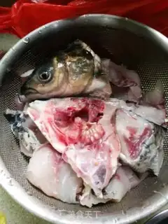 Make A live fish step 0