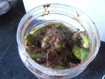 Make Pickles step 5