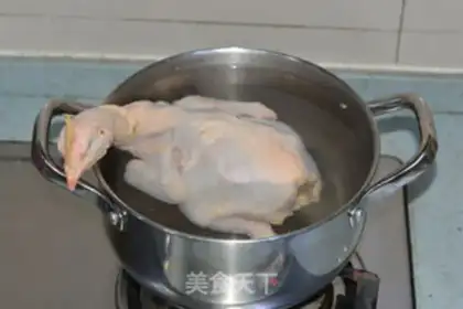 Make White pheasant step 1