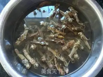 Make Flying locusts step 0
