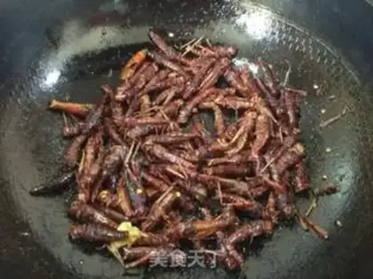 Make Flying locusts step 5