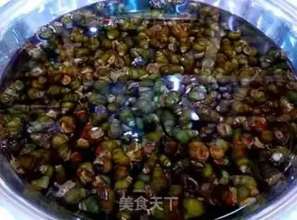 Make Snails step 0