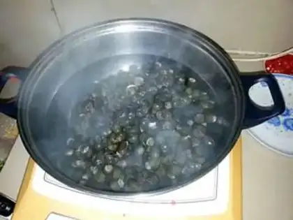 Make Snails step 2