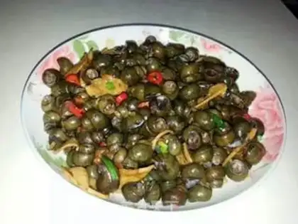 Make Snails step 10