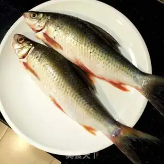 Make Beanfish step 0
