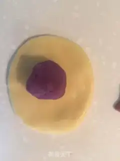 Make Chicken step 8