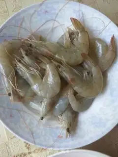 Make Shrimp step 0