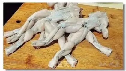 Make Pepper Frog Firepot step 2