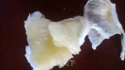 Make Yogurt fruit salad step 0