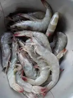 Make Garlic shrimp step 0