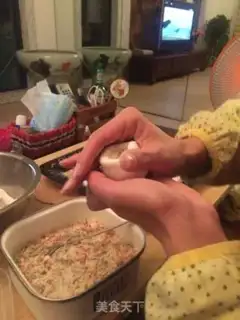 Make Pork dumplings step 0