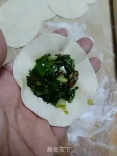 Make Pork dumplings step 7