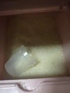Make A beer duck step 2