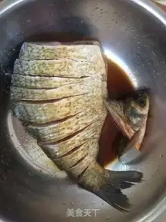Make Peacock Open - Steaming Squid step 0