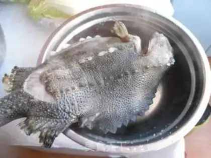Make Sea cucumber step 0