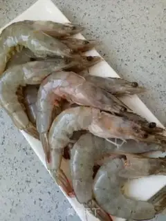 Make Shrimp step 0
