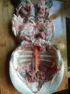 Make Clear the nailfish step 2