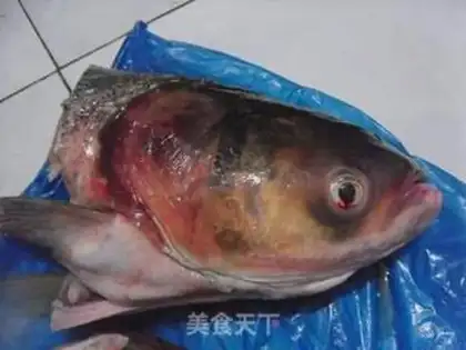 Make Pepper chopper head step 0