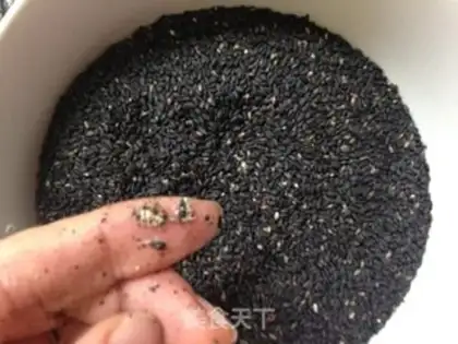 Make Black sesame pecan powder step 2