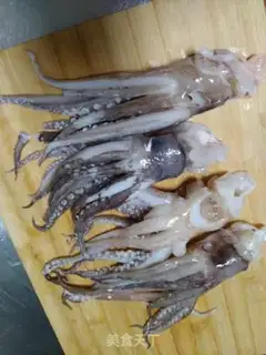 Make Squirt step 0