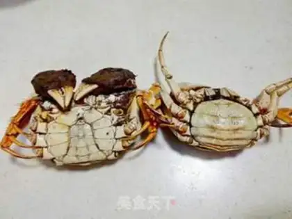 Make Crab Plum Head step 0