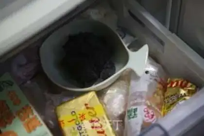 Make Black Sesame Cat