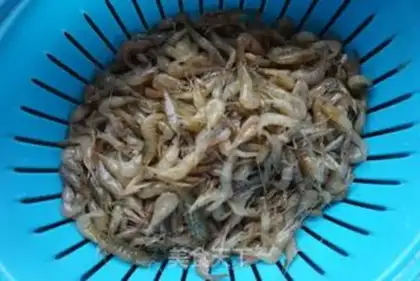 Make Shrimp step 0