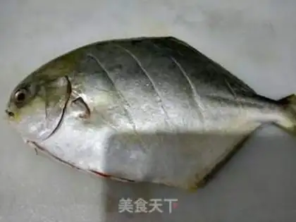 Make Red-burned even fish step 0