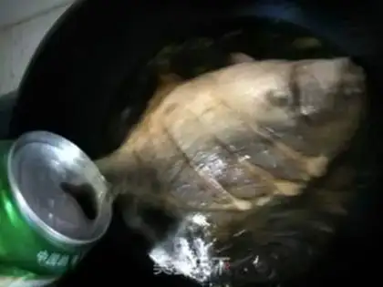 Make Red-burned even fish step 8