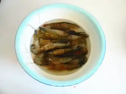 Make Shrimp step 0