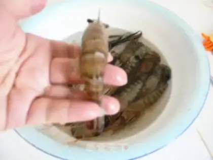 Make Shrimp step 1