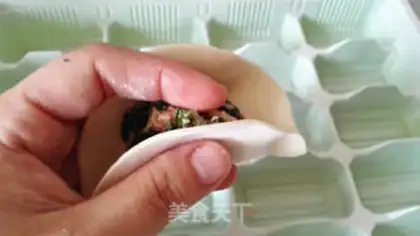 Make Pork dumplings step 15