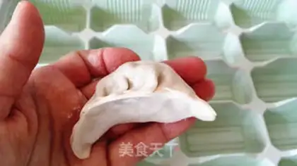 Make Pork dumplings step 16