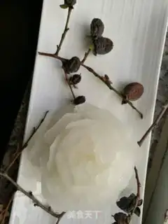 Make Ice radish step 10