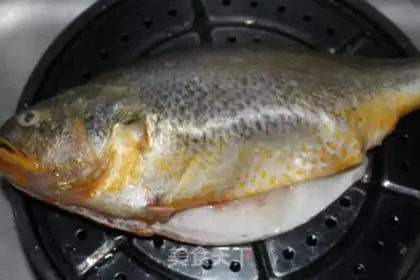 Make There are fish all the time step 0