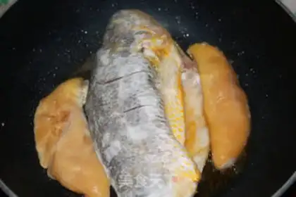 Make There are fish all the time step 3