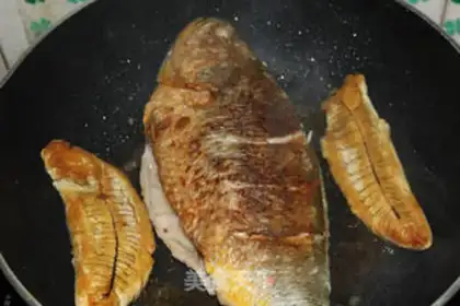 Make There are fish all the time step 4