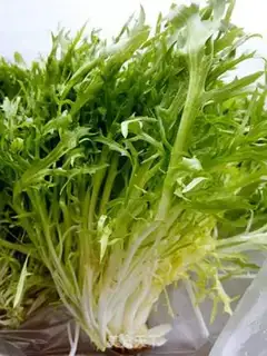 Make Tea mushrooms mixed with chrysanthemum step 0