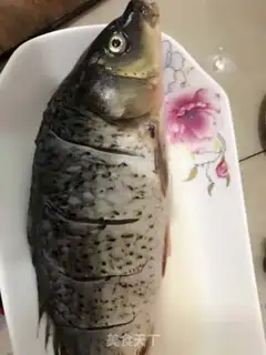 Make Steam carp step 0
