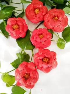 Make Red rose bread step 20