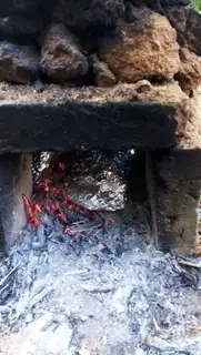Make Chicken step 10