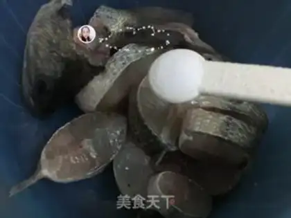 Make Steam fish step 2
