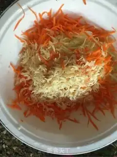 Make The garden cake step 0
