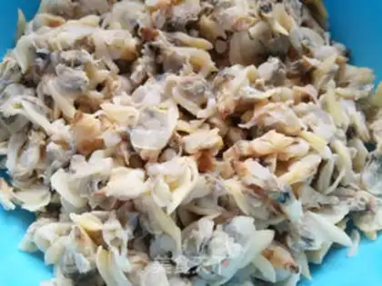 Make Tofu step 15