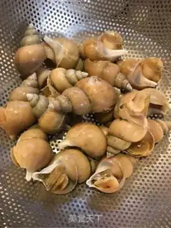Make Butter snails step 0