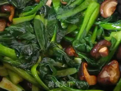 Make Mushroom oil step 5