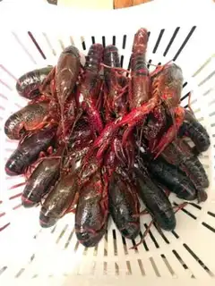 Make Spicy lobster step 3
