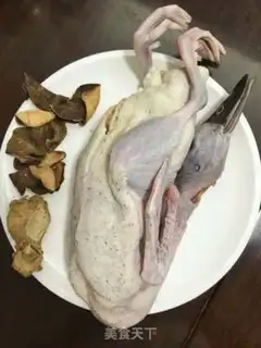 Make Duck step 0