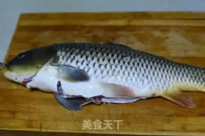 Make Scorch carp step 0