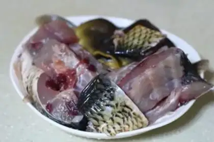 Make Scorch carp step 1